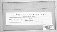 Image Associated With the Occurence